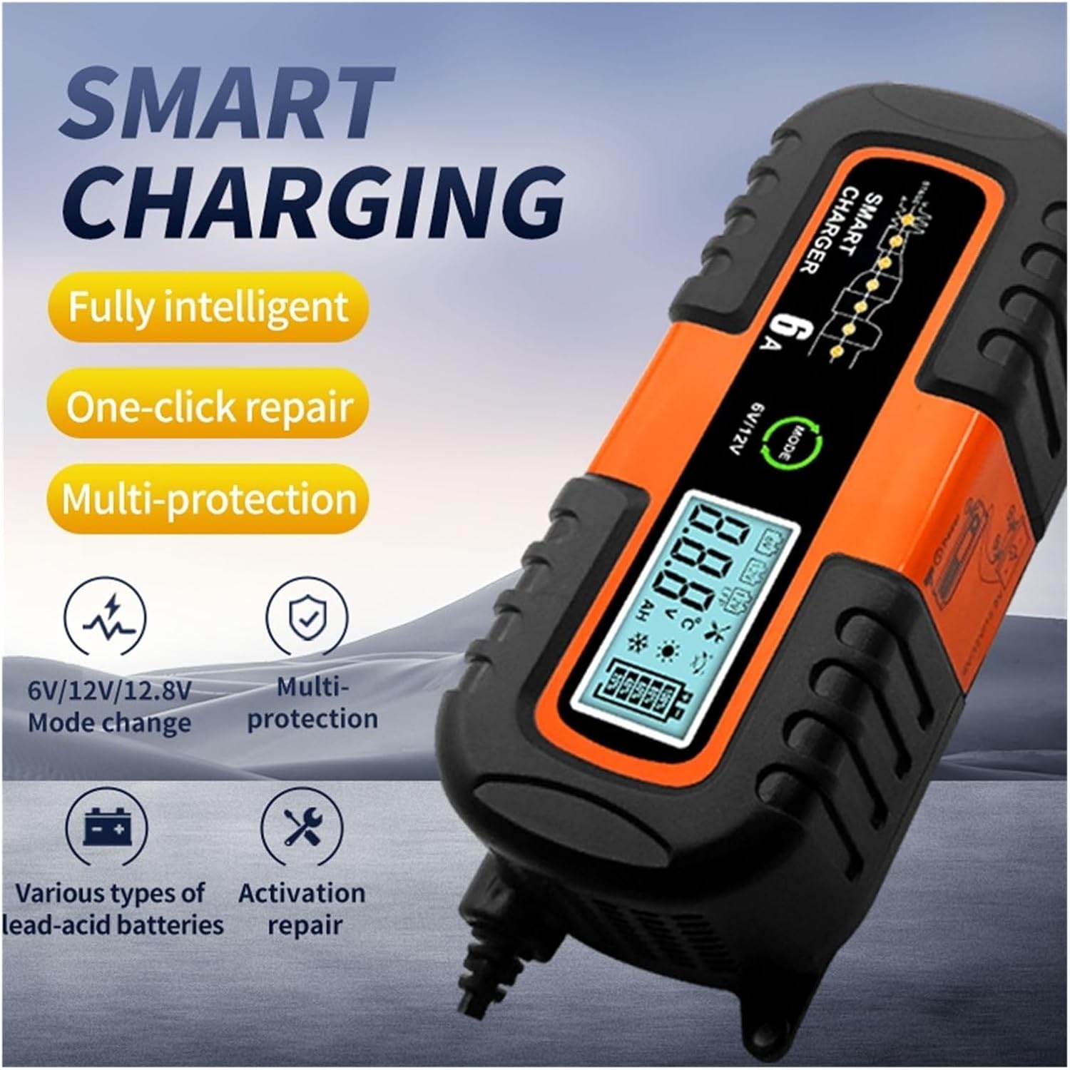 Chargeur & Régénérateur Intelligent de Batterie 12V